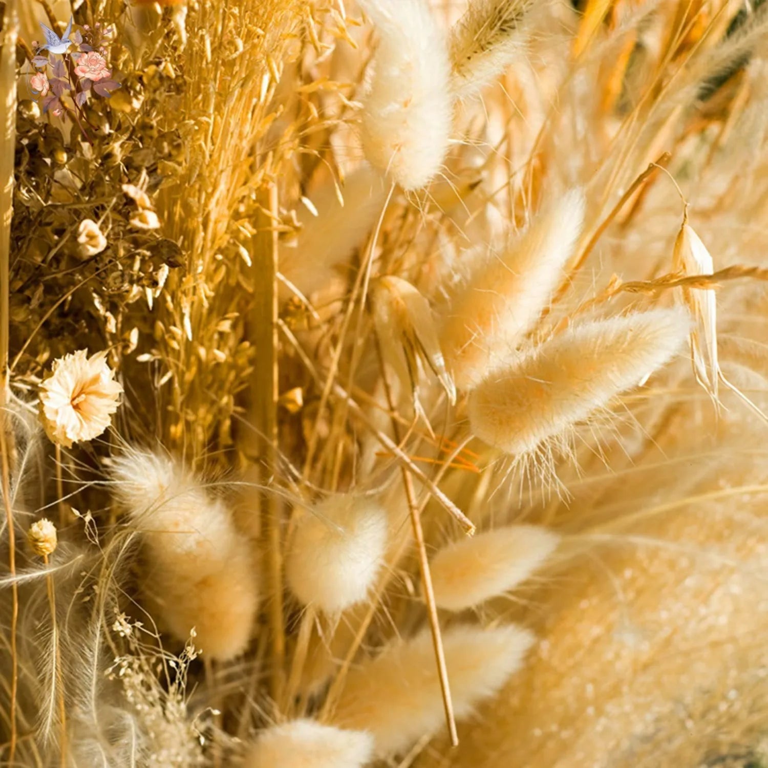 50Pcs Fluffy Bunny Rabbit Tail Grass Dried Flowers Bouquet Wedding Christmas Decor Natural Pampas Boho Home Autumn Decoration
