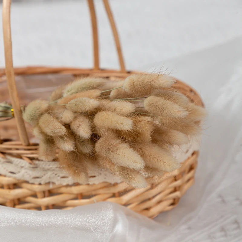 50Pcs Fluffy Bunny Rabbit Tail Grass Dried Flowers Bouquet Wedding Christmas Decor Natural Pampas Boho Home Autumn Decoration