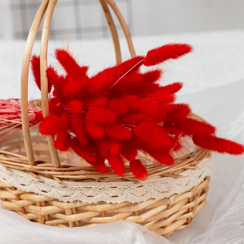50Pcs Fluffy Bunny Rabbit Tail Grass Dried Flowers Bouquet Wedding Christmas Decor Natural Pampas Boho Home Autumn Decoration