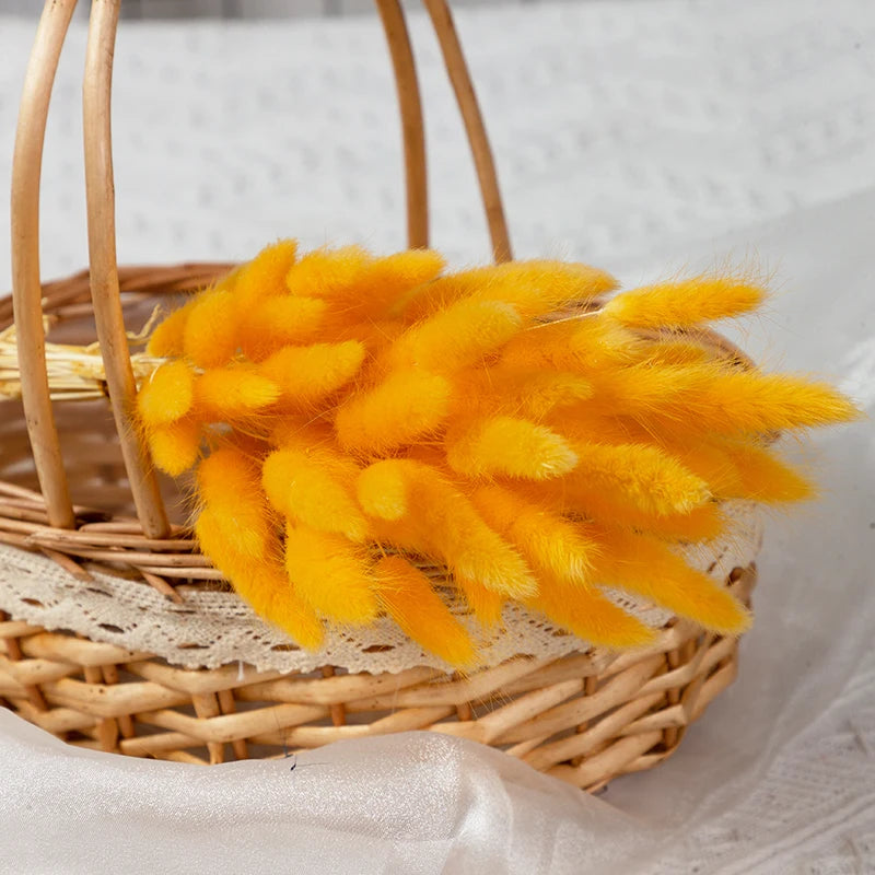 50Pcs Fluffy Bunny Rabbit Tail Grass Dried Flowers Bouquet Wedding Christmas Decor Natural Pampas Boho Home Autumn Decoration