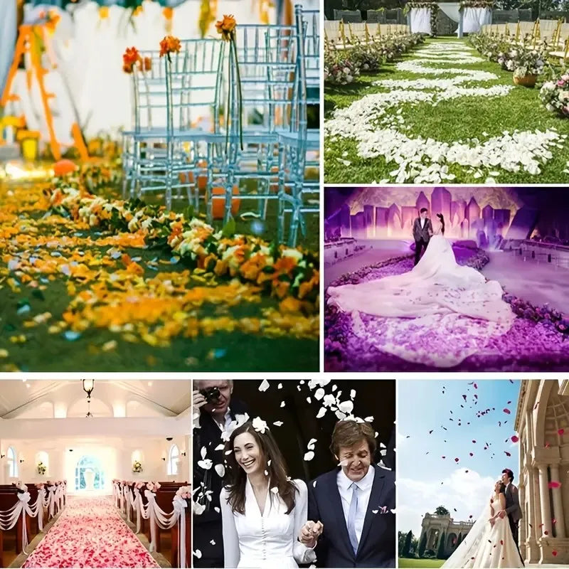 1000pcs Rose Petals Fake Rose Petals Romantic Night Wedding Flower Decoration for Party Decor and Valentine's Day Celebration