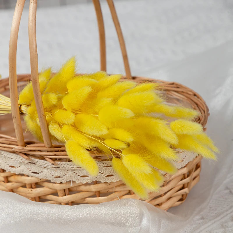 50Pcs Fluffy Bunny Rabbit Tail Grass Dried Flowers Bouquet Wedding Christmas Decor Natural Pampas Boho Home Autumn Decoration