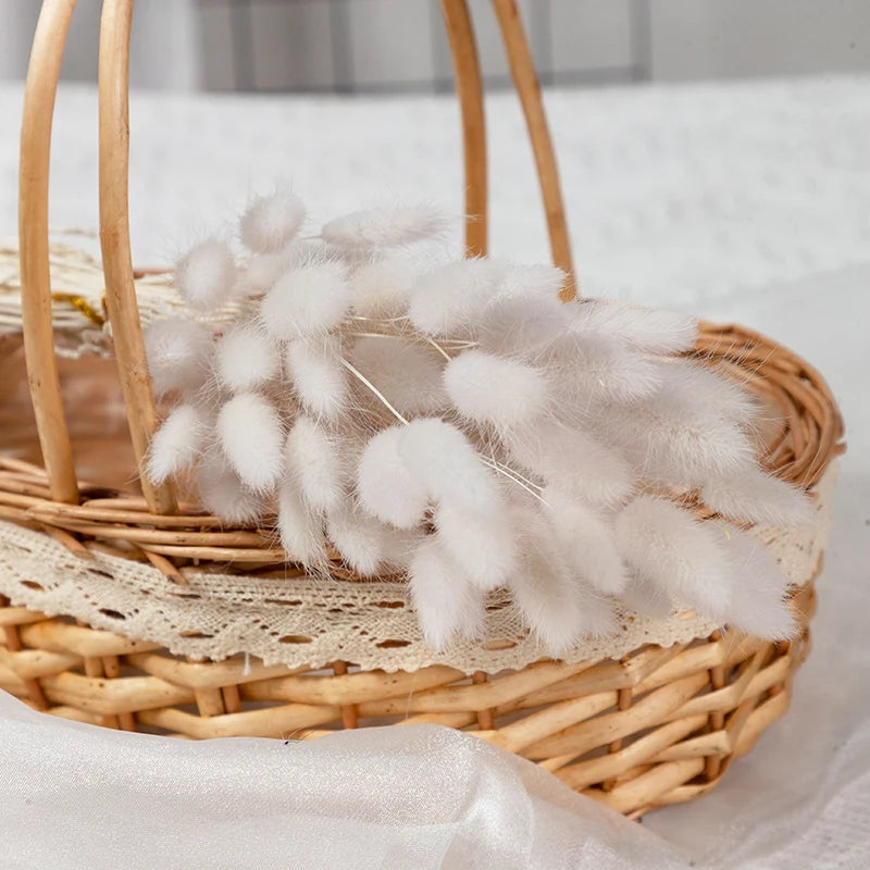 50Pcs Fluffy Bunny Rabbit Tail Grass Dried Flowers Bouquet Wedding Christmas Decor Natural Pampas Boho Home Autumn Decoration