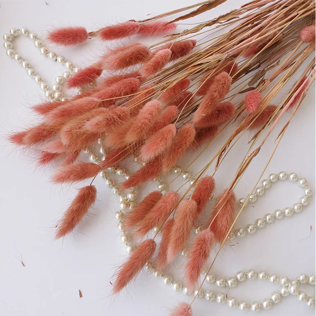 50Pcs Fluffy Bunny Rabbit Tail Grass Dried Flowers Bouquet Wedding Christmas Decor Natural Pampas Boho Home Autumn Decoration