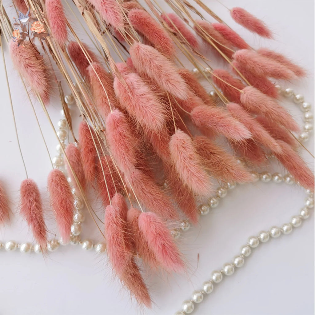 50Pcs Fluffy Bunny Rabbit Tail Grass Dried Flowers Bouquet Wedding Christmas Decor Natural Pampas Boho Home Autumn Decoration