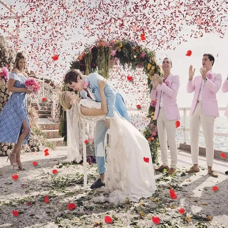 1000pcs Rose Petals Fake Rose Petals Romantic Night Wedding Flower Decoration for Party Decor and Valentine's Day Celebration
