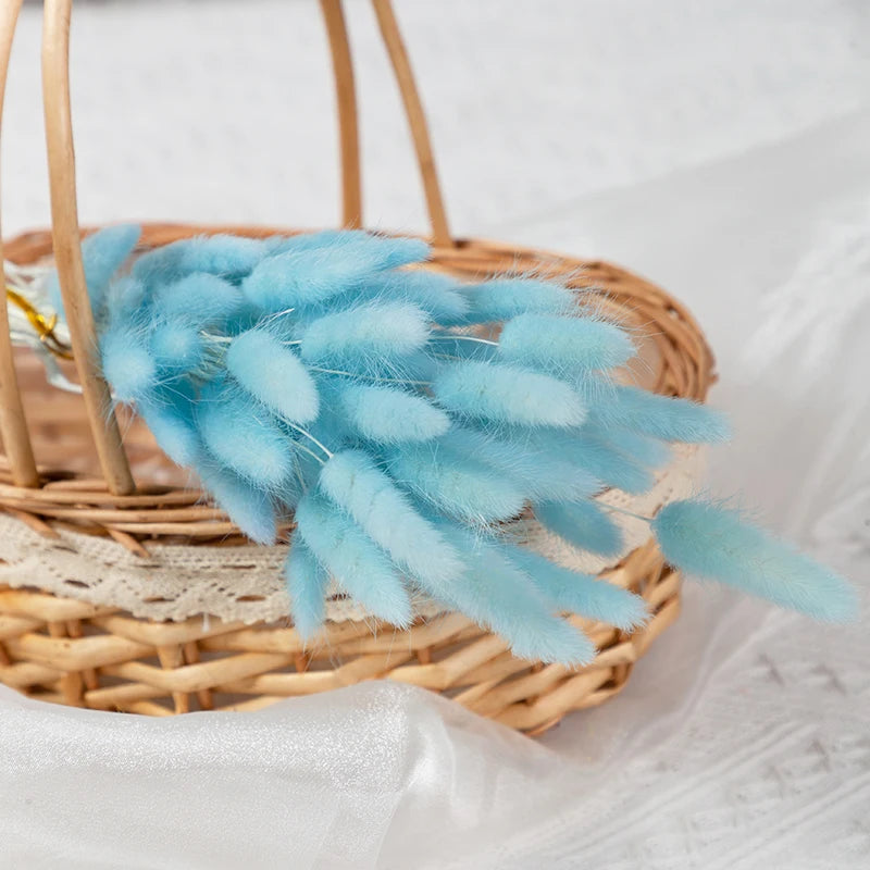 50Pcs Fluffy Bunny Rabbit Tail Grass Dried Flowers Bouquet Wedding Christmas Decor Natural Pampas Boho Home Autumn Decoration